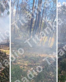 Profesora de inicial pierde la vida cuando apagaba incendio forestal en Ayaorcco