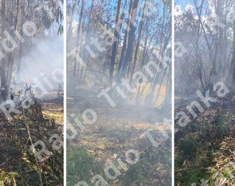 Profesora de inicial pierde la vida cuando apagaba incendio forestal en Ayaorcco