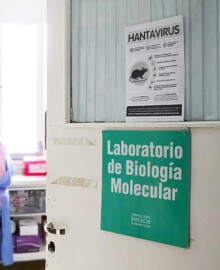 Argentina está en una carrera por hallar el origen del brote de hantavirus