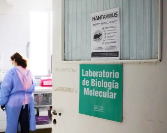 Argentina está en una carrera por hallar el origen del brote de hantavirus