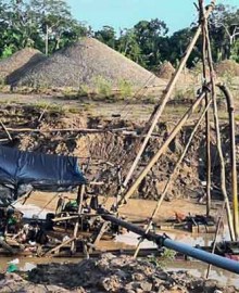 Próximo gobierno debe decidir si combate o permite la expansión de la minería ilegal