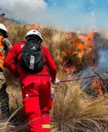 Ayacucho: COER registra 18 incendios forestales y 322 hectáreas de vegetación afectadas
