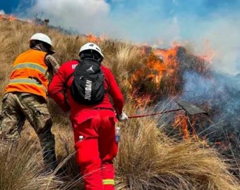 Ayacucho: COER registra 18 incendios forestales y 322 hectáreas de vegetación afectadas