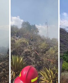 Sin agua, sin bombas contra incendios, bomberos enfrentaron voraz incendio forestal en Pachachaca