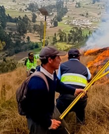 Caída de un árbol sobre cables de alta tensión originó gigantesco incendio forestal en Argama