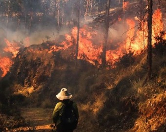 Alertan sobre alto riesgo de incendios forestales hasta el sábado 7 de setiembre