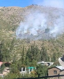 Pobladores logran controlar incendio forestal en Micaela Bastidas