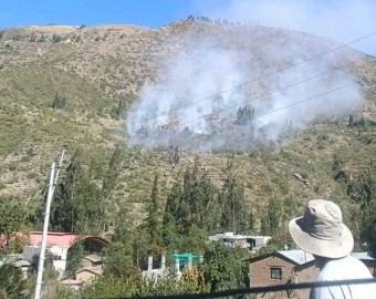 Pobladores logran controlar incendio forestal en Micaela Bastidas