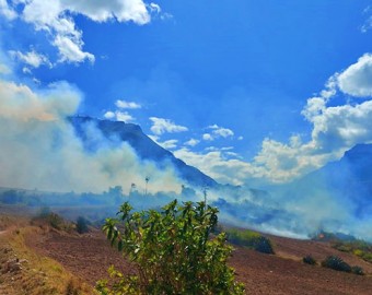 Dos incendios forestales arrasan con cobertura vegetal en Huanipaca y Curahuasi