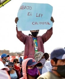 Ley Chlimper 2.0: trabajadores y gremios agrarios exigen a Dina Boluarte que observe la norma
