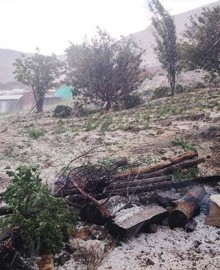 Intensa granizada afecta varias hectáreas de cultivos en Tambobamba