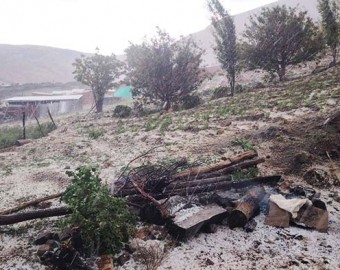 Intensa granizada afecta varias hectáreas de cultivos en Tambobamba