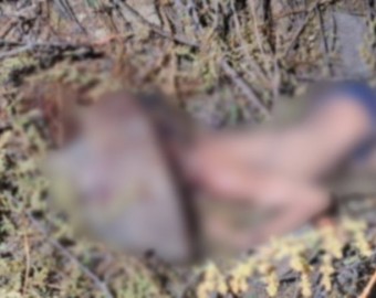 Atroz crimen de escolar conmociona a población de Andahuaylas