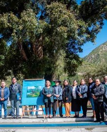Árbol con más de 400 años ubicado en Chalhuanca es reconocido como patrimonio por SERFOR 