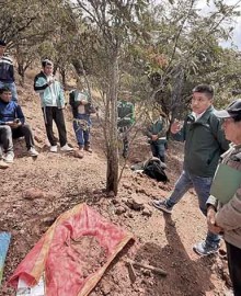 72 productores formalizan más de 106 hectáreas de plantaciones de tara 