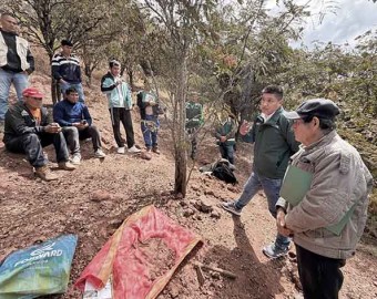 72 productores formalizan más de 106 hectáreas de plantaciones de tara 