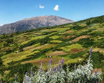 Serfor conforma Mesa Técnica Regional de Restauración de Ecosistemas y Tierras Forestales
