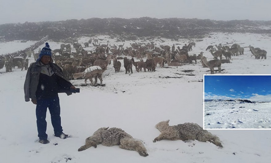 Intensas nevadas y lluvias persistentes se registran por fenómeno de la DANA Anibal en Apurímac
