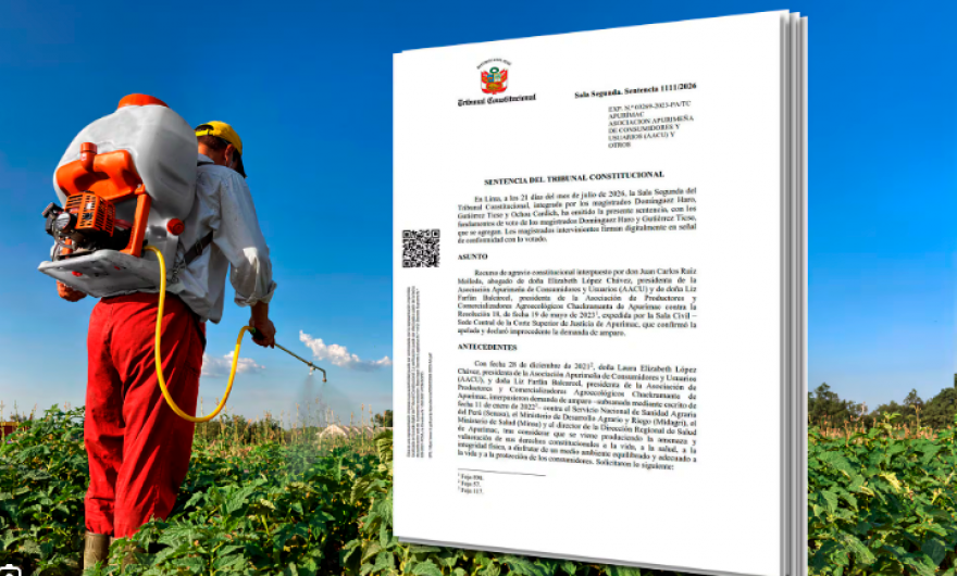 Tribunal Constitucional prohíbe temporalmente el uso y venta de cinco plaguicidas altamente tóxicos en el Perú