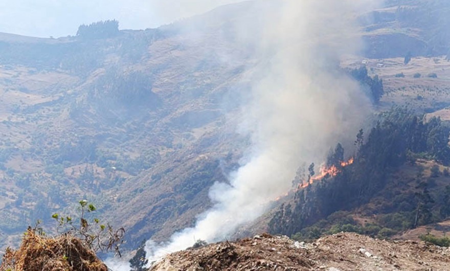 Comunero pierde la vida cuando intentaba apagar incendio forestal en Coyllurqui 