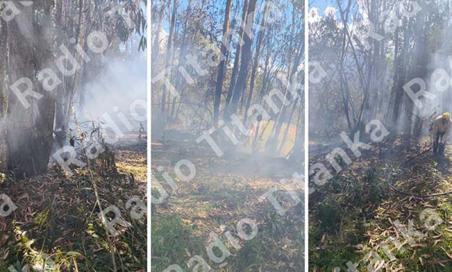 Profesora de inicial pierde la vida cuando apagaba incendio forestal en Ayaorcco