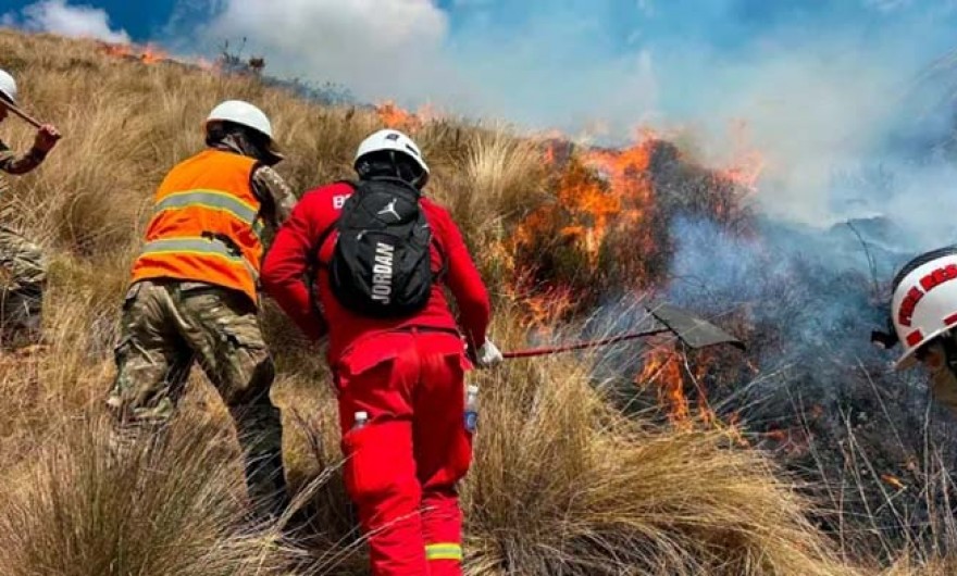Ayacucho: COER registra 18 incendios forestales y 322 hectáreas de vegetación afectadas