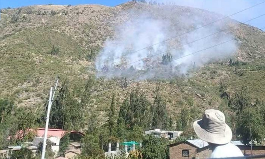 Pobladores logran controlar incendio forestal en Micaela Bastidas