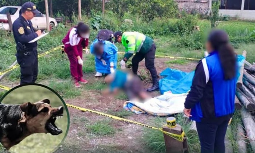 Jauría de perros ataca y mata anciano en Cansichihua
