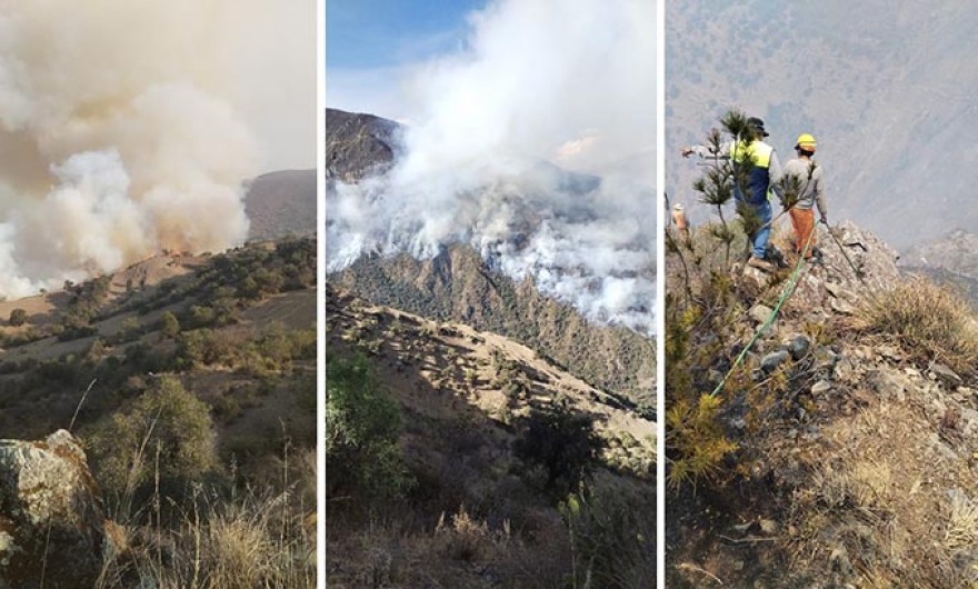 Comunidades claman ayuda por incendios forestales y Municipalidad de Abancay derrochará S/ 420 mil en fiesta de aniversario