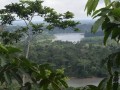 Más reservas, cuencas y zonas protegidas afectadas por la minería ilegal