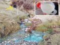 Denuncian contaminación de manantial que abastece a comunidad campesina de Churo, en Mara