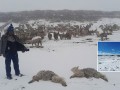 Intensas nevadas y lluvias persistentes se registran por fenómeno de la DANA Anibal en Apurímac