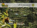 Andenes de Cuyocuyo: tecnología ancestral para conservar la biodiversidad en el altiplano peruano