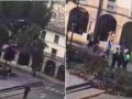 Cusco: turista se salva de milagro tras caerle un árbol encima mientras descansaba en la Plazoleta Regocijo 
