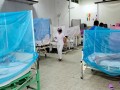 Ayacucho: reportan incremento de dengue en el Vraem y advierten mayor riesgo por lluvias intensas