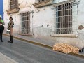 Moquegua: auxiliar de laboratorio fallece tras desvanecerse cuando se dirigía a actividad escolar 