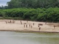Madre de Dios: Corte IDH escuchará a los representantes de comunidades indígenas en caso contra el Estado peruano