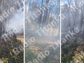 Profesora de inicial pierde la vida cuando apagaba incendio forestal en Ayaorcco
