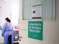 Argentina está en una carrera por hallar el origen del brote de hantavirus