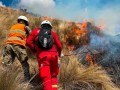 Ayacucho: COER registra 18 incendios forestales y 322 hectáreas de vegetación afectadas