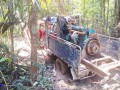 Madre de Dios: sentencian a dos personas que transportaban motor dentro de Reserva Nacional de Tambopata