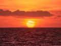 Los océanos del planeta alcanzan la temperatura media más alta jamás registrada mientras El Niño se intensifica