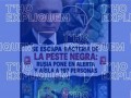 Un posible caso de peste en Siberia llena de ruido las redes: ¿una nueva pandemia, armas biológicas o una predicción de Taylor Swift?