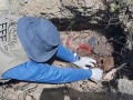 Ayacucho: recuperan restos de dos pobladores asesinados hace 42 años en La Mar
