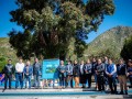 Árbol con más de 400 años ubicado en Chalhuanca es reconocido como patrimonio por SERFOR 