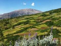 Serfor conforma Mesa Técnica Regional de Restauración de Ecosistemas y Tierras Forestales