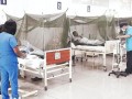 Dengue: cifra de muertos se eleva a 146 y casos a 155.000 a nivel nacional