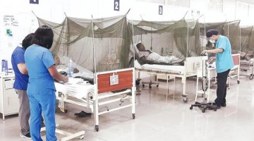 Dengue: cifra de muertos se eleva a 146 y casos a 155.000 a nivel nacional